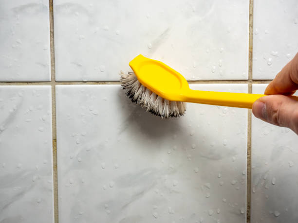 Best Toxic Mold Removal  in Avenel, NJ