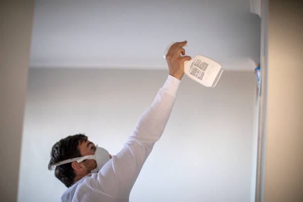 Best Same-Day Mold Removal  in Avenel, NJ