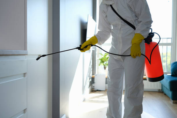 Best Emergency Mold Removal  in Avenel, NJ