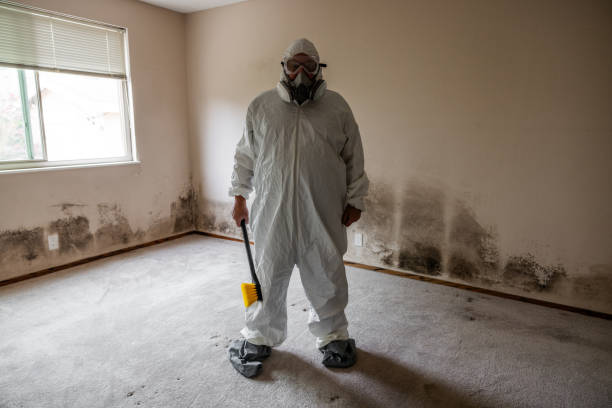 Best Emergency Mold Removal  in Avenel, NJ